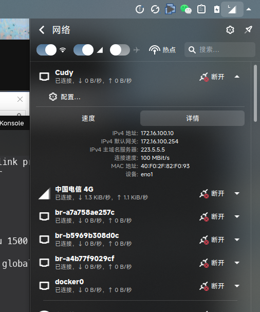 web服务器的ip信息（plasma-nm）